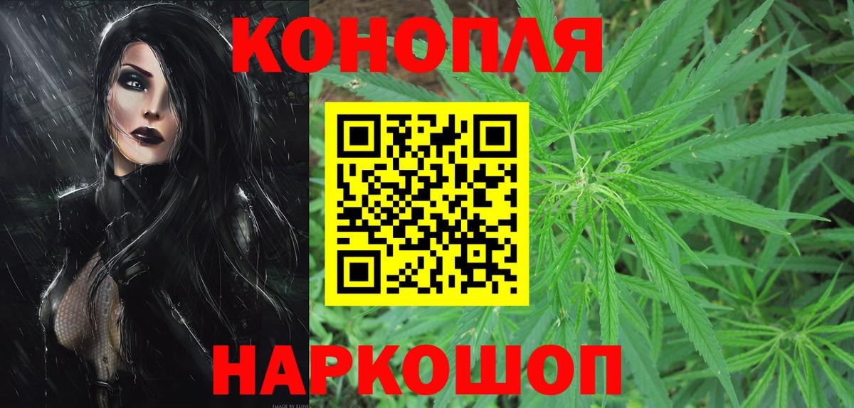 Пугачёв  Бошки марихуана White Widow  Вход с VPN  Шишки марихуана тримм  Марихуана OG Kush 